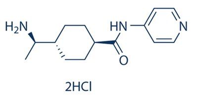 Y-27632 2HCL