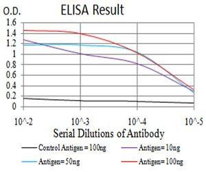 YWHAB Antibody