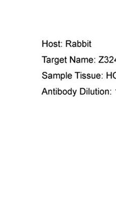 Z324B antibody