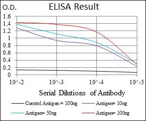 ZFP42 Antibody