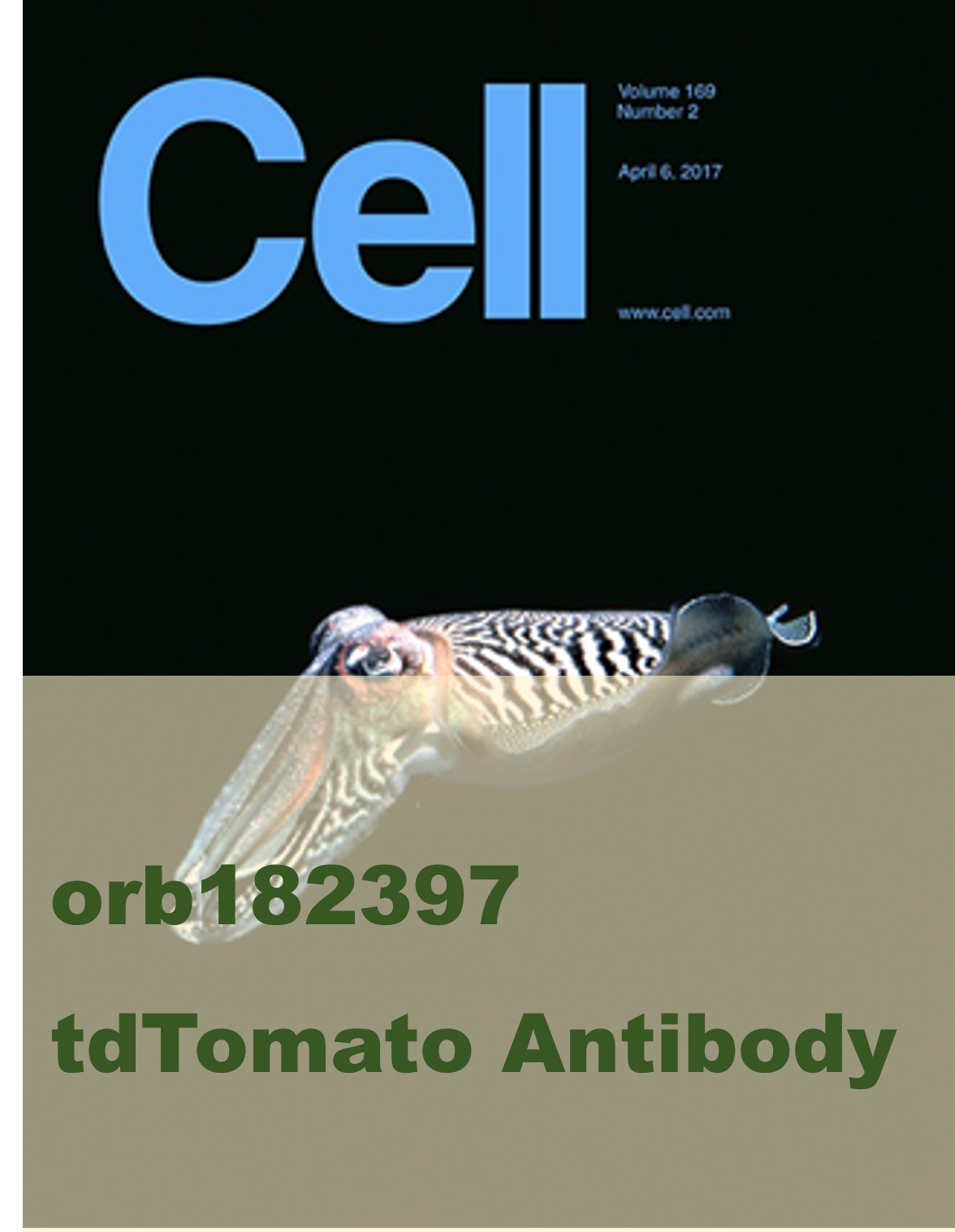 orb182397