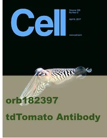 orb182397