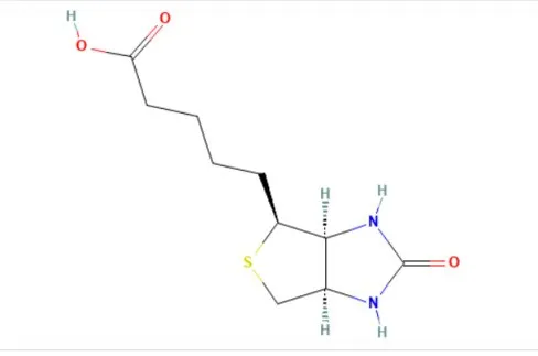 Schematic of biotin as a universal tag conjugated to a target molecule