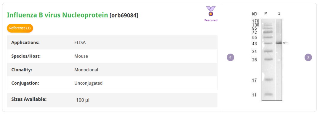 Antibody List 2