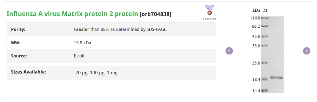 Product List 2