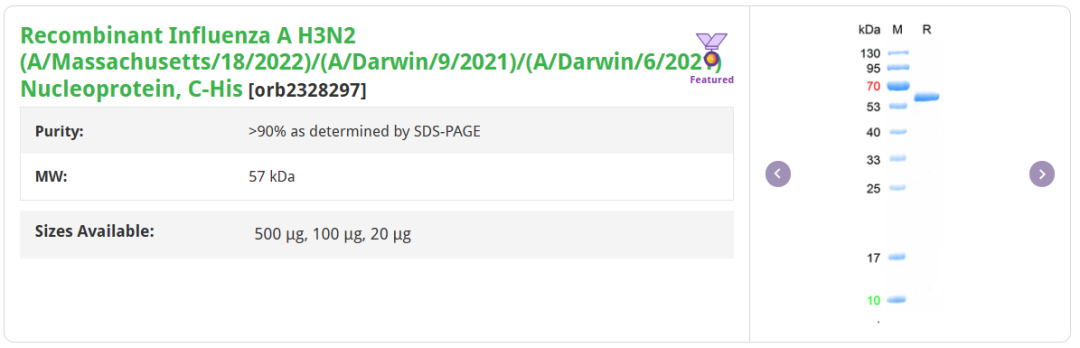 Product List 5