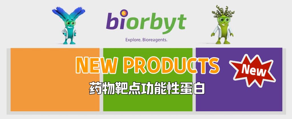药物靶点功能性蛋白