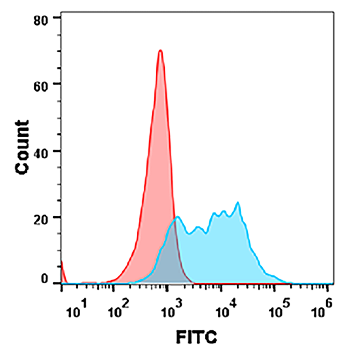 FC analysis of Human BCMA Protein