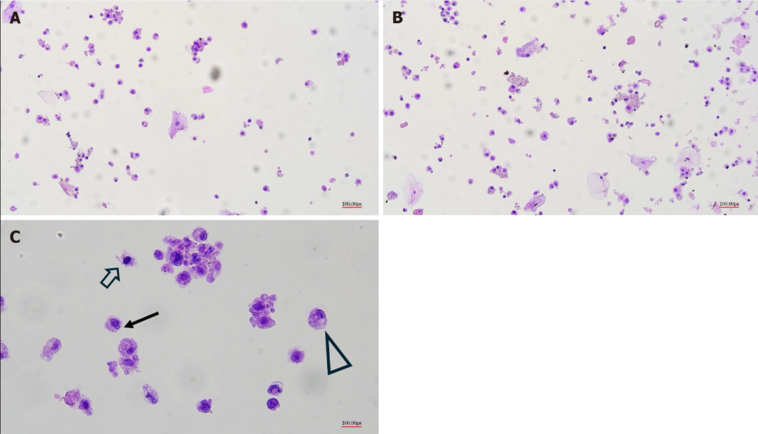 CD133抗体 Biorbyt明星抗体又收录一篇文献，是关于母乳的研究1