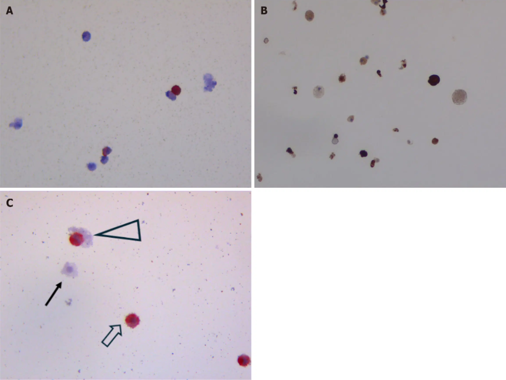 CD133抗体 Biorbyt明星抗体又收录一篇文献，是关于母乳的研究2
