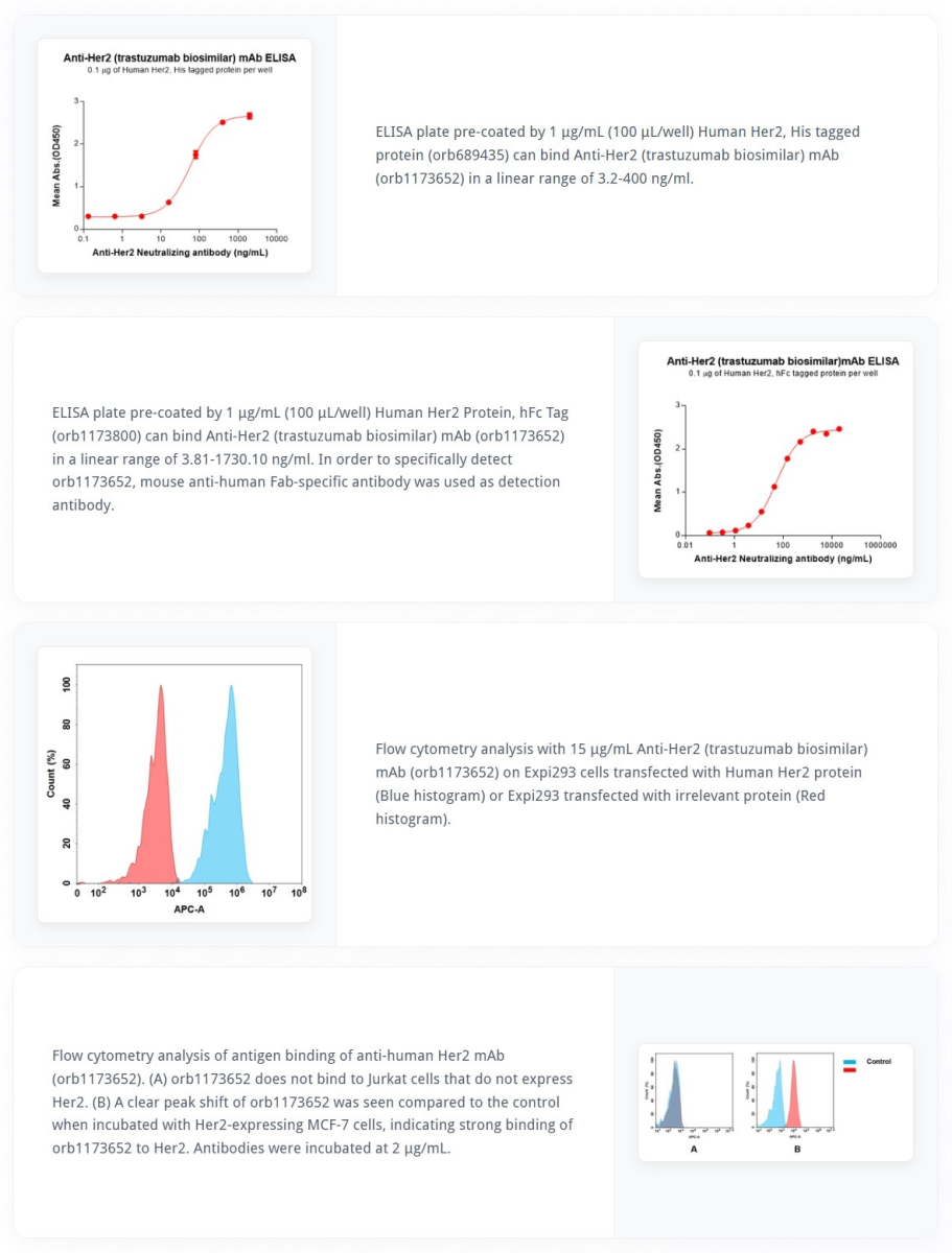 Trastuzumab biosimilar antibody orb1173652 ELISA and flow cytometry validation data