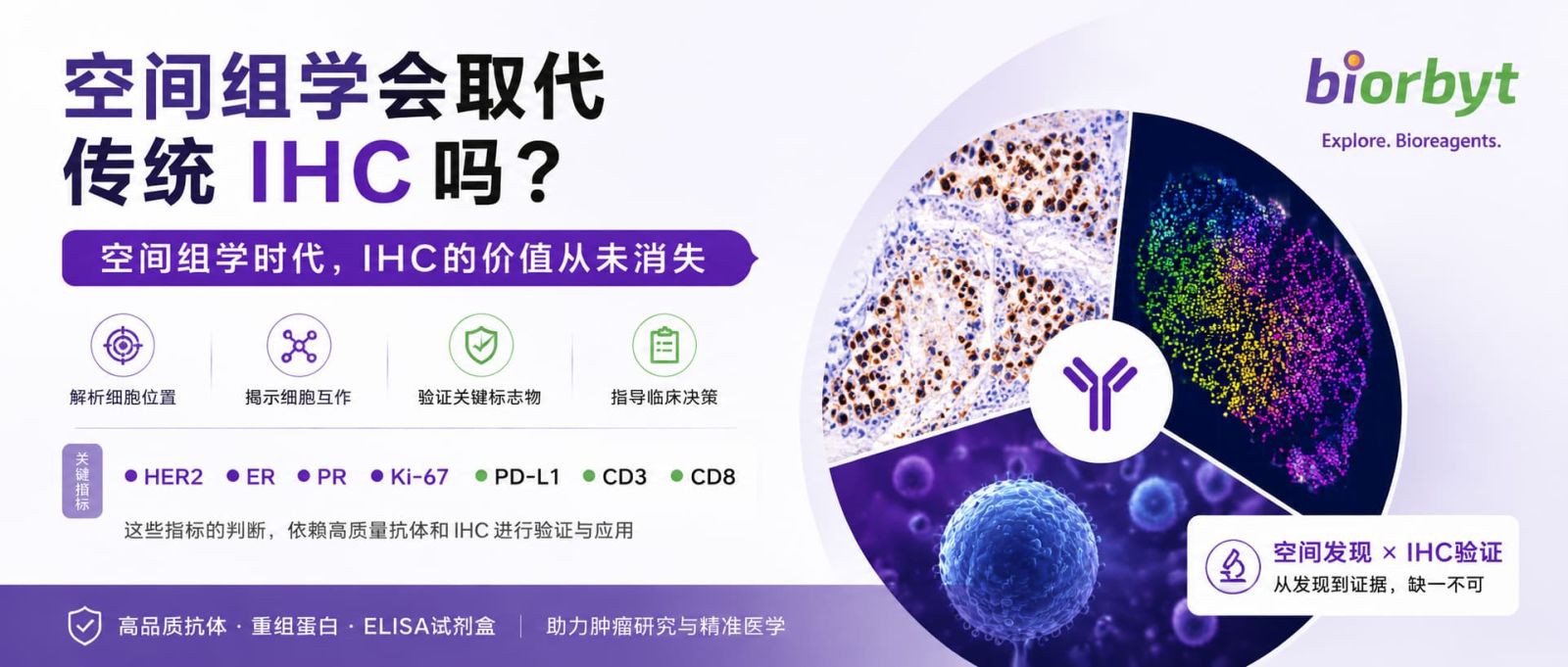 空间生物学与IHC