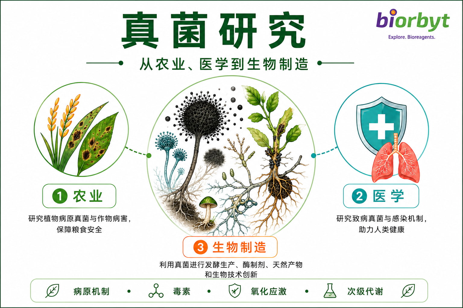真菌研究机制与实验工具