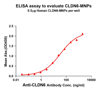ELISA binding curve for Human CLDN18.2 Synthetic Nanodisc