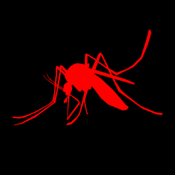 Dengue Fever