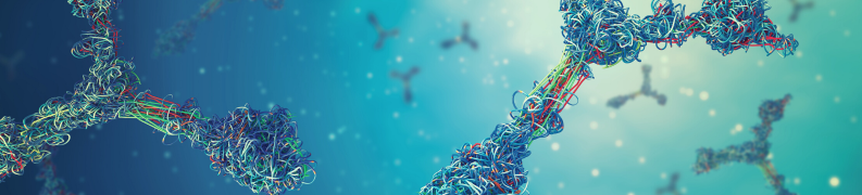 antibodies in solution