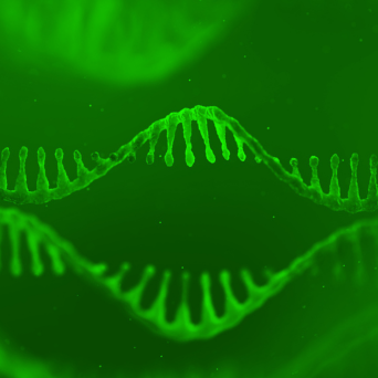 Advances in mRNA Technology