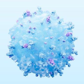 CD Antigens