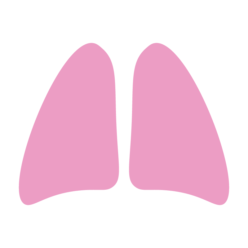 Lung