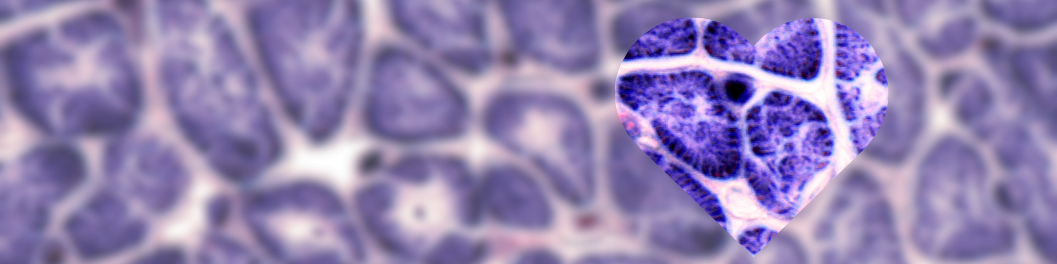Cardiac Inflammatory Markers