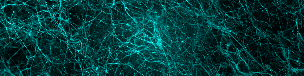 Cell Markers in Neuroscience Banner