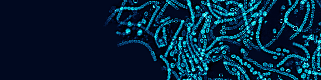 Microbiology