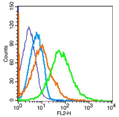 Heme Oxygenase antibody 1 data