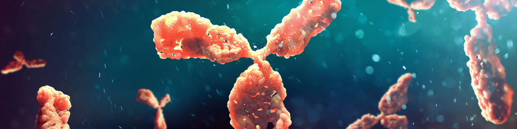 Reference Antibodies