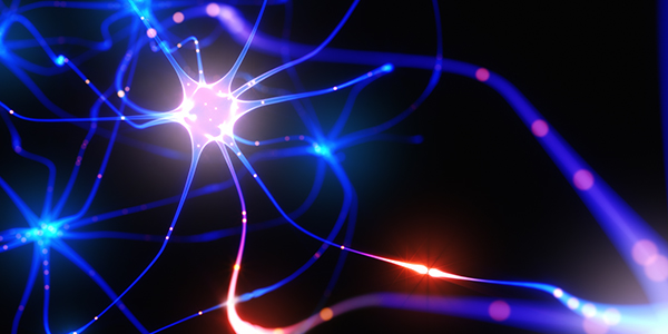Neuroscience Research