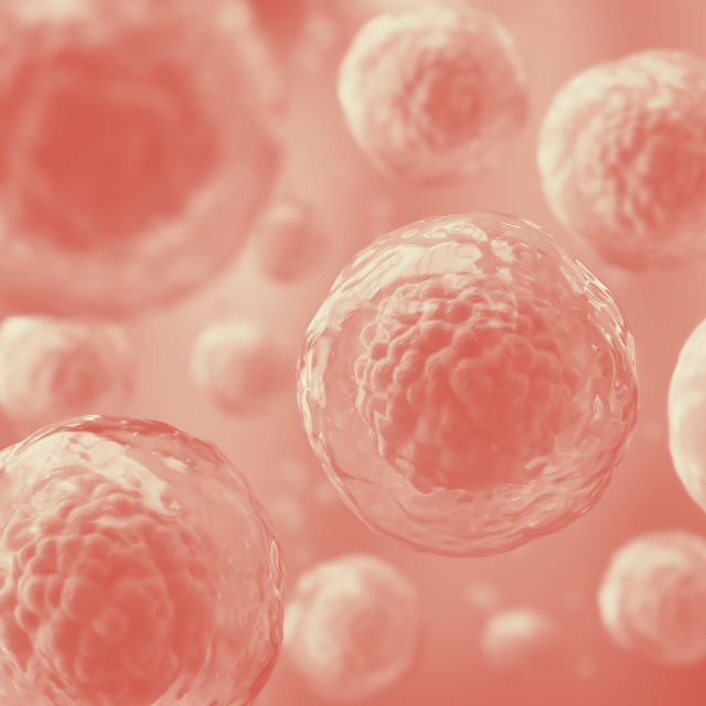 Cytokine Storms