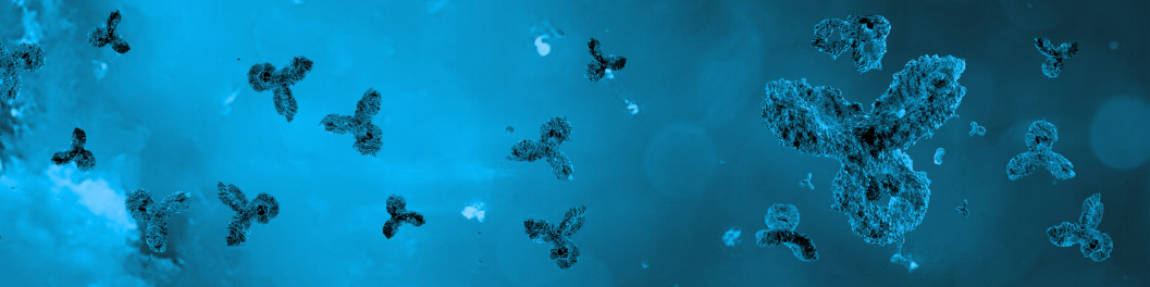 Custom monoclonal antibody production banner