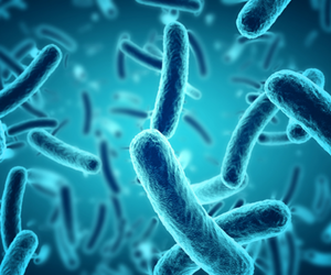 Insect Baculovirus Expression System