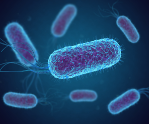 E. coli Expression System