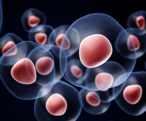 Mammalian Cell Expression System