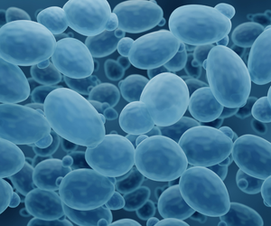 Yeast Expression System