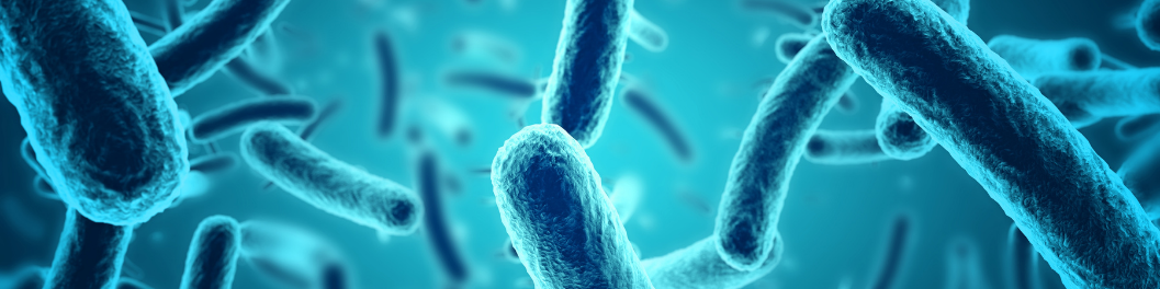 Insect Baculovirus Expression System Banner