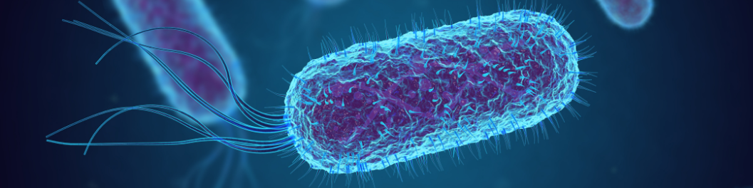 E.coli Expression System Banner