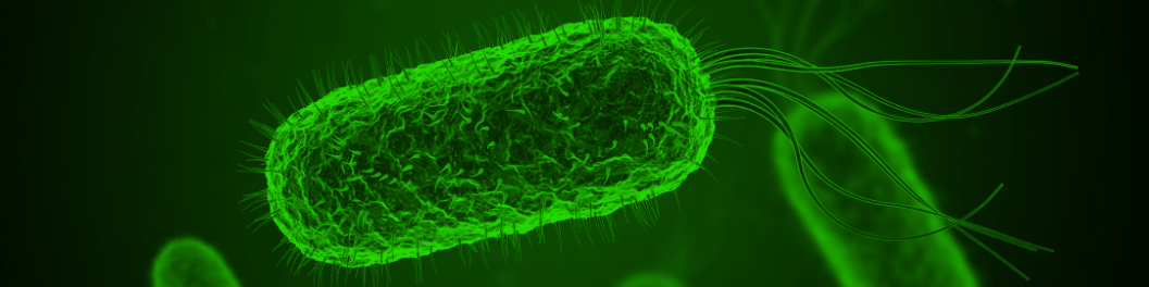 In vitro E.coli Expression System Banner