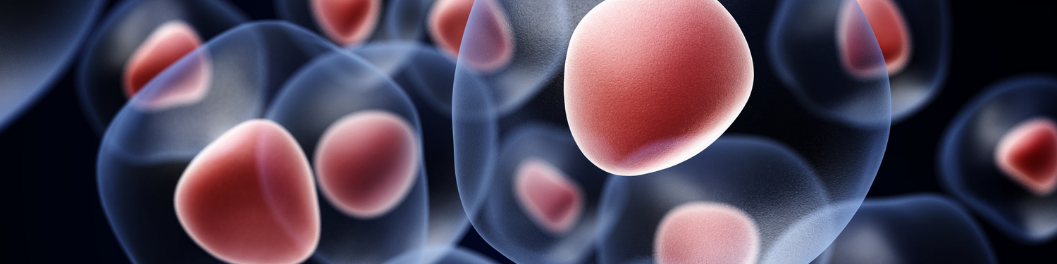 Mammalian Cell Expression System Banner