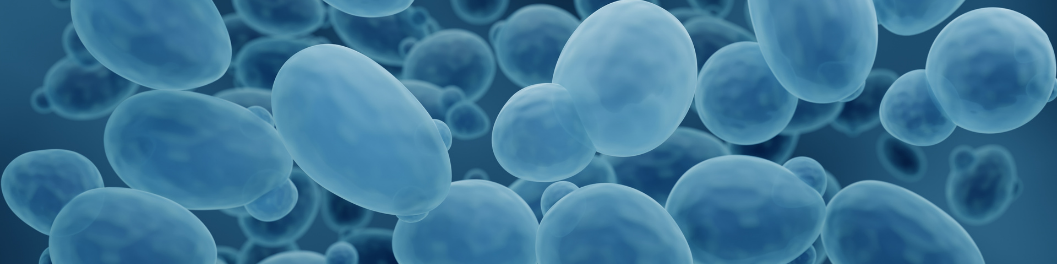 Yeast Expression System Banner