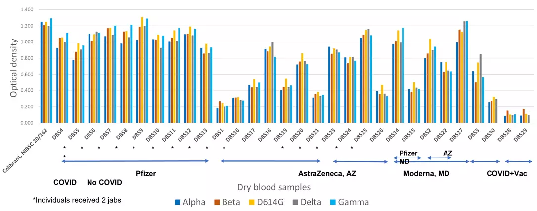Individual immune responses to different Variants of Concern resulting from vaccinations and Covid-19 infection. Dry blood sample assay.