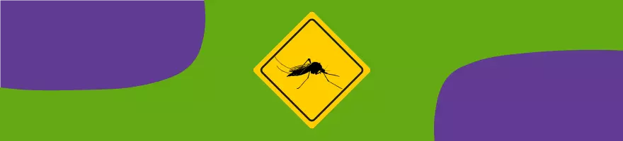 Accelerate Your Research into Mosquito-Borne Diseases