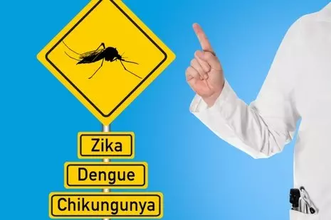 Chikungunya, Dengue, Zika Virus Signpost
