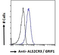 ALS2CR3/GRIF1 Antibody