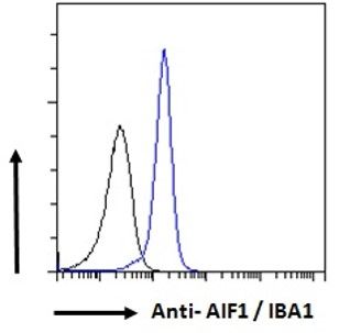 Interferon gamma antibody