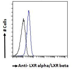 NR1H3; NR1H2 antibody