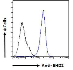 EHD2 antibody