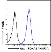 FOXA1 antibody