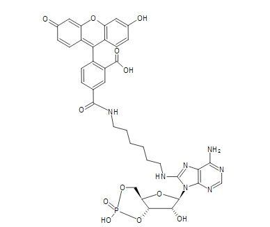 8-(6-Aminohexyl)-amino-cAMP-5-FAM