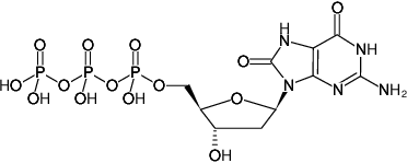 8-Oxo-dGTP